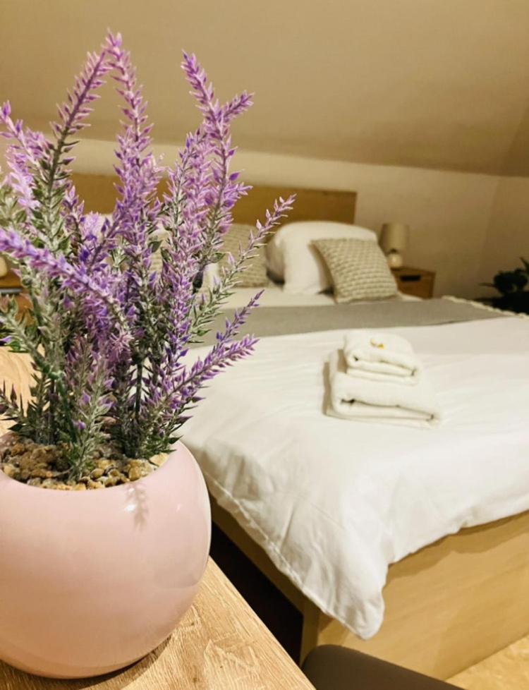 Downtown Apartments With Shared Kitchen Gyor Luaran gambar